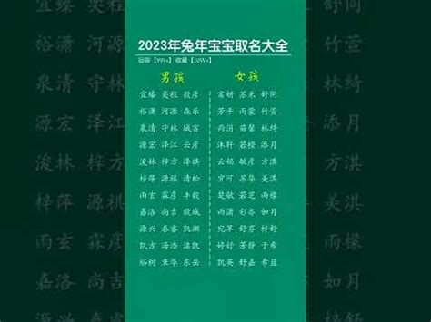 2023水兔寶寶|【2023水兔寶寶】2023水兔寶寶好運爆棚！福氣滿滿。